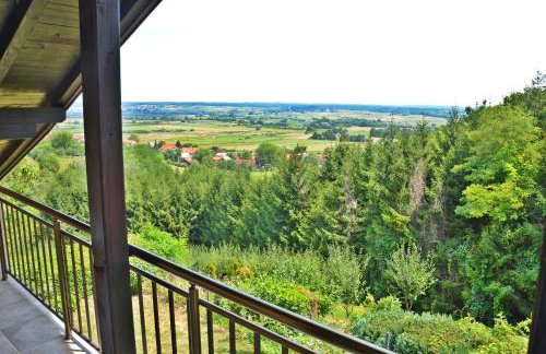 Green Zelina - Foto 12