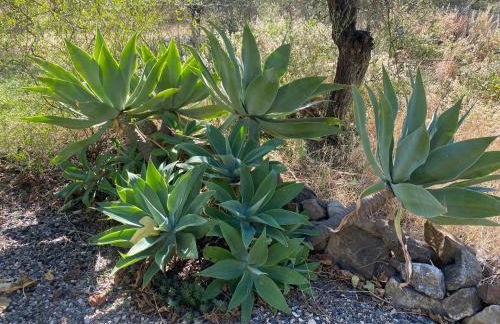 Casa Bonela Vista - Foto 47