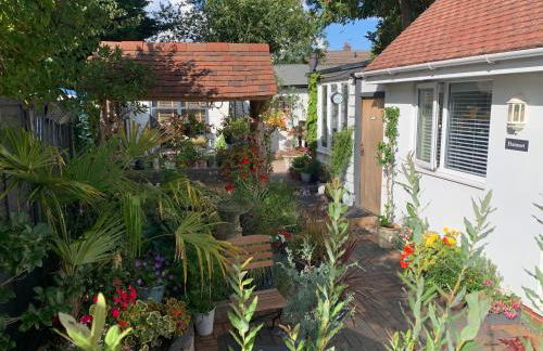 No - 48 Hamnet - Foto 16