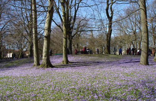 Europa Residenz Premium Suite - Foto 25