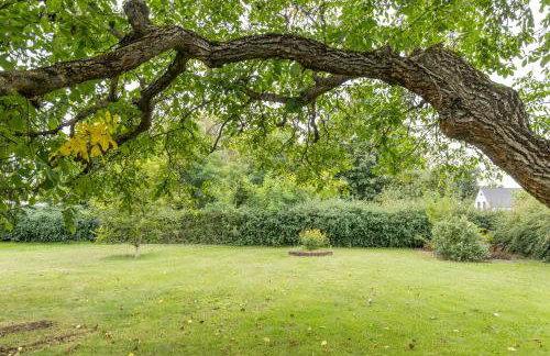 2 Zimmer Ferienwohnung 69 Qm - Foto 23