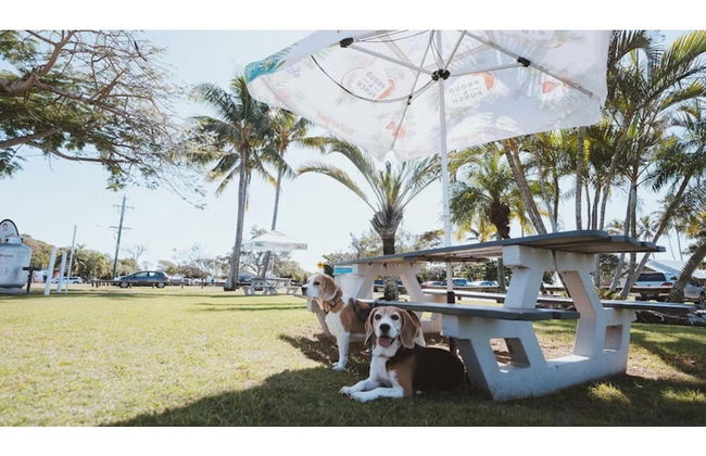 Discovery Parks - Bargara - Foto 49