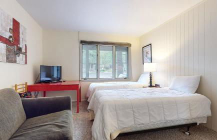 Chateau De Montagne #24 Condo - Foto 27