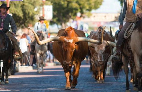 Hitching Post - Photo 12