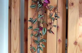 Casa Hurtere - Foto 24