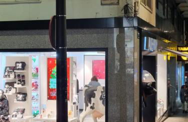 Ap Skerup Calpe City cerca Playa - Photo 25