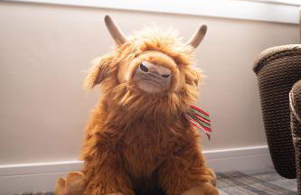 Royal Apartment - Foto 19