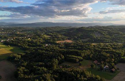 Szumią Dęby - Marcyporęba - Photo 24