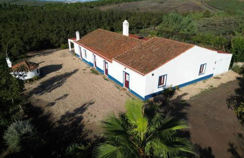 Monte do Pantaleão - Foto 19