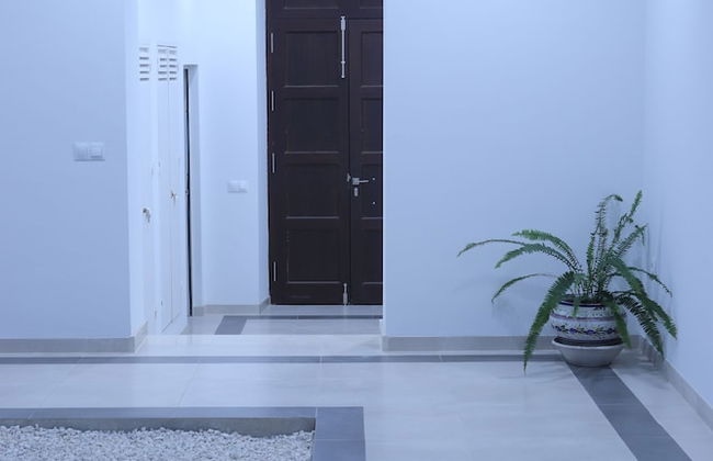 El Sueño de San Fernando - Foto 3