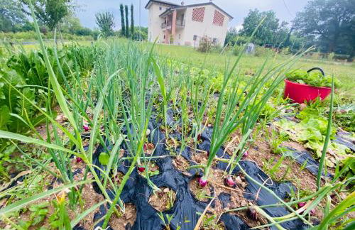 Incanto del Garda - Foto 63