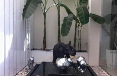 Casa de diseño en el Delta del Ebro - Foto 14