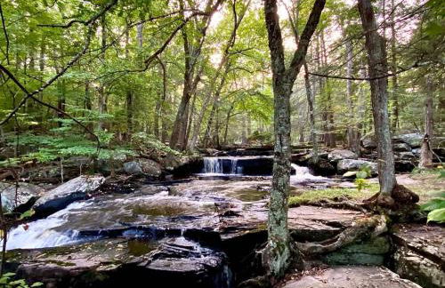 renovatedhot tublake accesspedal boatcozychic - Foto 31