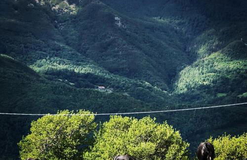 Nidi del faggio rosso - Family Holiday Home - Foto 44