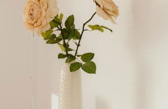 Quinta das Laranjeiras - Foto 21