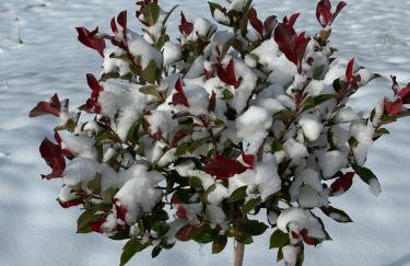 Villa Međimurka - Foto 30