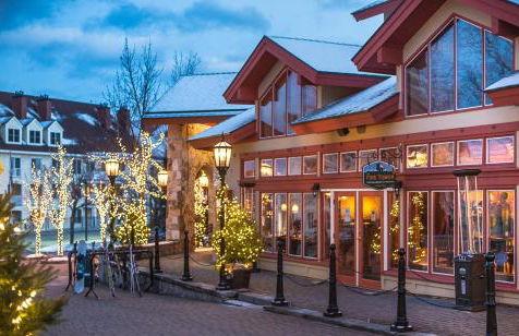 Vantage Point Villas at Stratton Mountain Resort - Foto 17