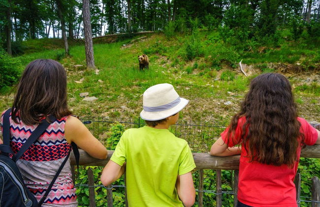 Peaceful Holiday Home - Photo 72