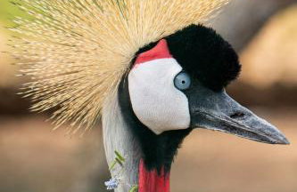 La Fattoria Delle Tartarughe - Photo 59