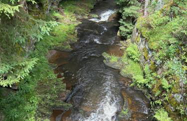 Ferienhaus Schindler - Foto 16
