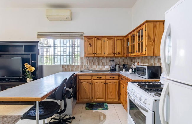 Lovely 1-bed in Montego Bay-rose View Apartment - Photo 5