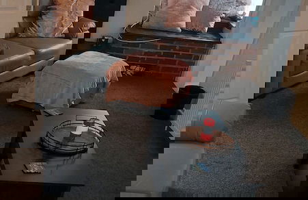 Cosy Cottage, a Spacious Home in Torquay - Foto 15