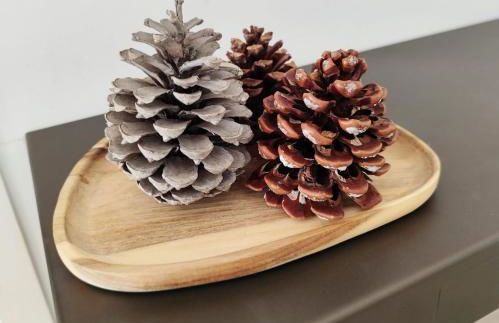 Villa ARIANA, 120m2, Climatisée, Piscine - Foto 25