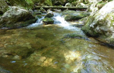 Ferienwohnungen Jonuscheit - Foto 22