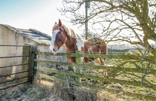 Swallows Rest - Foto 23