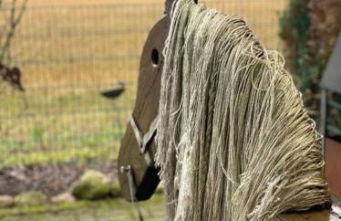 Schöne Auszeit RE14 - Photo 16