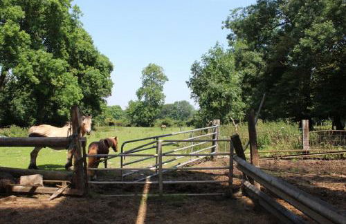 La Ferme de la Croix - Foto 23