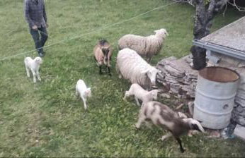 Kavran Relax home - Foto 12