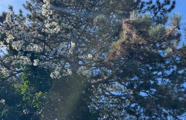 Greenhouse - Foto 25