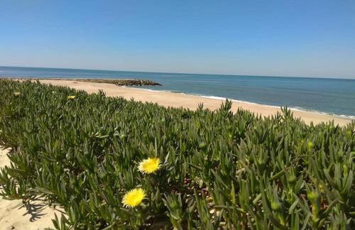 Casa de Praia acolhedora/ Cosy beach house - Foto 23