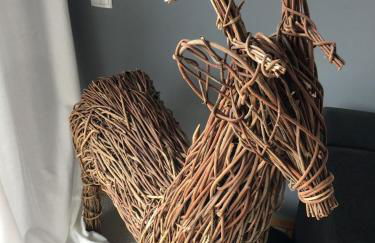 Tor zum Pfälzerwald - Foto 16