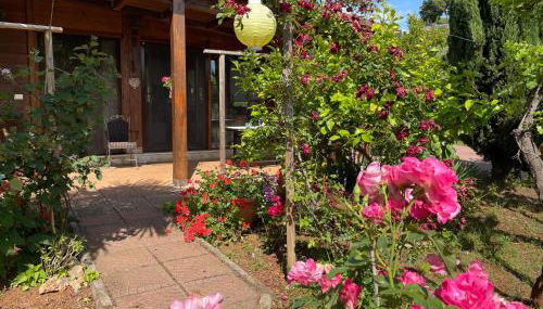 Chalet Mimosa - Foto 3, Garden