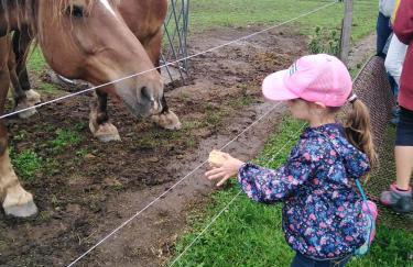 Font-romeu via odeillo jolie Appartement 6 personnes plein sud - Foto 40