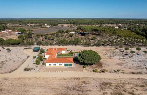 O Cantinho dos Vieiras - Foto 32