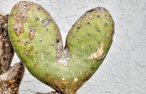 Beachside Bliss Spacious 3BR Retreat, Steps to Ocean - Foto 30