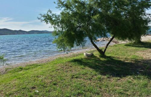 Apartment Drazan - Foto 78