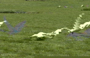 Krákhamar apartments - Photo 11