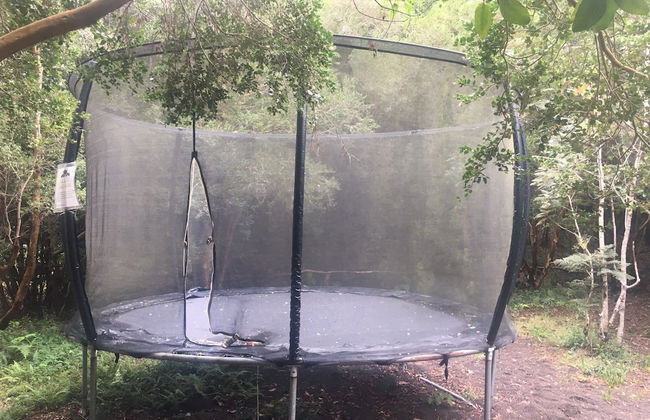 Cabañas Ensenada Bosque Nativo - Foto 43