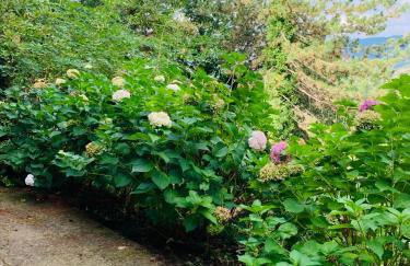 Peaceful Country Living at Apartments at Villa Clara - Foto 51