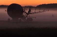 Waldpension Gussow - Foto 43