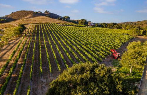 Ballard Canyon Ranch by Paradise Retreats - Foto 34