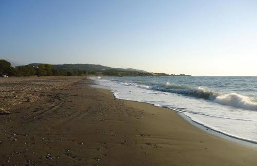 Alexandra Homestay - Foto 16