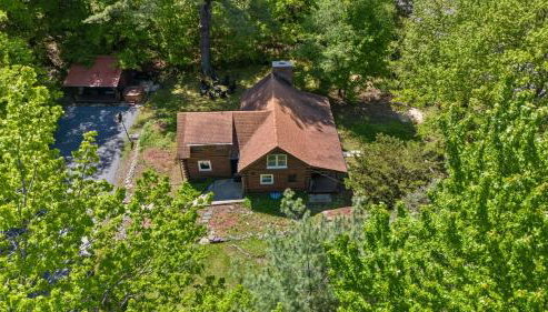 The Bears Nest - Foto 3