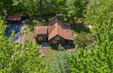 The Bears Nest - Foto 3