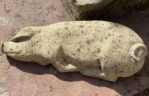 Cygnet Studio - Foto 10