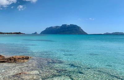 Claude&Kate's dream house - Photo 63